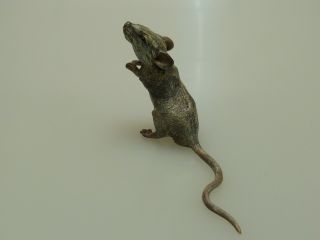 Wiener Bronze Ratte Franz Bergmann Signiert Vienne Bronze Rat Signed Bild