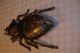 Messing Aschenbecher Spinne Kreuzspinne Groß Tier Figur Italy Wie Große Fliege Gefertigt nach 1945 Bild 2