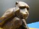 Seltene Antike Bronze Figur Schimpanse Mit Kugel 1900-1949 Bild 3