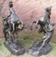 Rossebändiger Paar Figuren / Skulptur Bronze 2.  H.  19.  Jhdt.  Nach Guillaume Coustou Bronze Bild 1