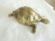 Schildkröte Landschildkröte Tier Dachbodenfund Gefertigt nach 1945 Bild 1