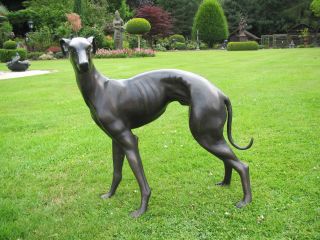 Grosser WunderschÖner Windhund Aus Bronze Tier Deco Bild