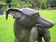 Grosser WunderschÖner Windhund Aus Bronze Tier Deco Bronze Bild 2