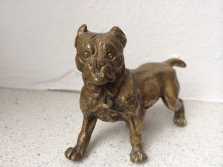 Bronze Hund Boxer Ca Von 1910 Bild
