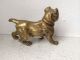Bronze Hund Boxer Ca Von 1910 Bronze Bild 3