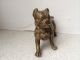 Bronze Hund Boxer Ca Von 1910 Bronze Bild 4