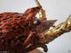 Wunderschöner Schwere Hummer Massiv Bronze/messing Figur Handmalerei Über 3kilo Bronze Bild 11