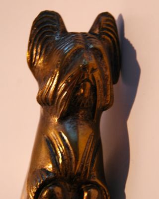 Briard Bronze Skulptur Hund,  Bronzeskuehemals Versilbert Sign.  G.  H.  Lauren Bild