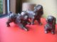 Gruppe Von 3 Hunden King Charles Spaniel 206 Gramm Bronze/messing ? Vermutlich W Bronze Bild 11