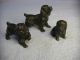 Gruppe Von 3 Hunden King Charles Spaniel 206 Gramm Bronze/messing ? Vermutlich W Bronze Bild 3