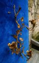 Superschöner Vergoldeter älterer Wandkerzenhalter,  Florentiner A.  Italien Floral Antike Originale vor 1945 Bild 1