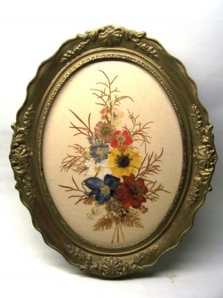 Antiker Ovaler Bilderrahmen Barock Trockenblumen Und Glas Bild