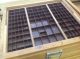 Alter Setzkastenschrank Aus Druckerei Im Originalzustand Braun 22 Schubladen Antike Originale vor 1945 Bild 1