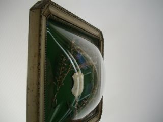 Bilderrahmen Vitrine Sehr Gewölbtes Kuppelglas Antik Silberhochzeit Kuppelrahmen Bild