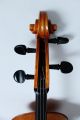 Feines Altes Meister - Cello 4/4 (nr.  2) Old Cello Nur 5tage Saiteninstrumente Bild 5