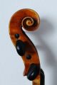 Feine Alte Aussergewöhnliche Violine Old Violin Nur 5 Tage Saiteninstrumente Bild 9