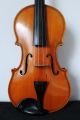 Feine Alte Aussergewöhnliche Violine Old Violin Nur 5 Tage Saiteninstrumente Bild 1