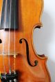Feine Alte Sehr Schöne Violine Old Violin Nur 5 Tage Saiteninstrumente Bild 2
