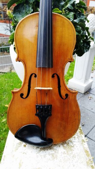 Feine Alte Sehr Schöne Violine Old Violin Nur 5 Tage Bild