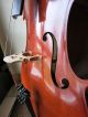 Josef Jan J.  J.  Dvorak Professional Cello 4/4 Hand Crafted By Cremona Saiteninstrumente Bild 2