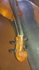 Geige Antonius Stradivarius Faciebat 1721 Saiteninstrumente Bild 2