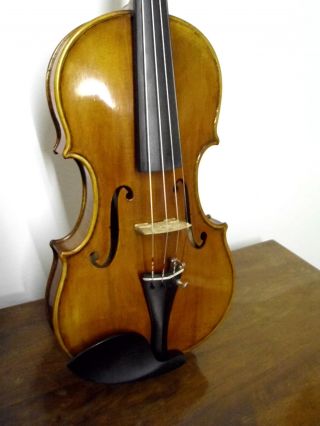 Sehr Gepflegte Geige Aus Nachlass,  Mit Zettel - Tolle Maserung Bild