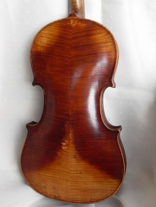 Feine Alte Violine Old Violin Violino Bild