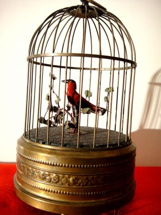 Singvogel - Automat,  Vogel - KÄfig,  Mechanisch,  Um 1900 Mit Einem Singvogel Bild