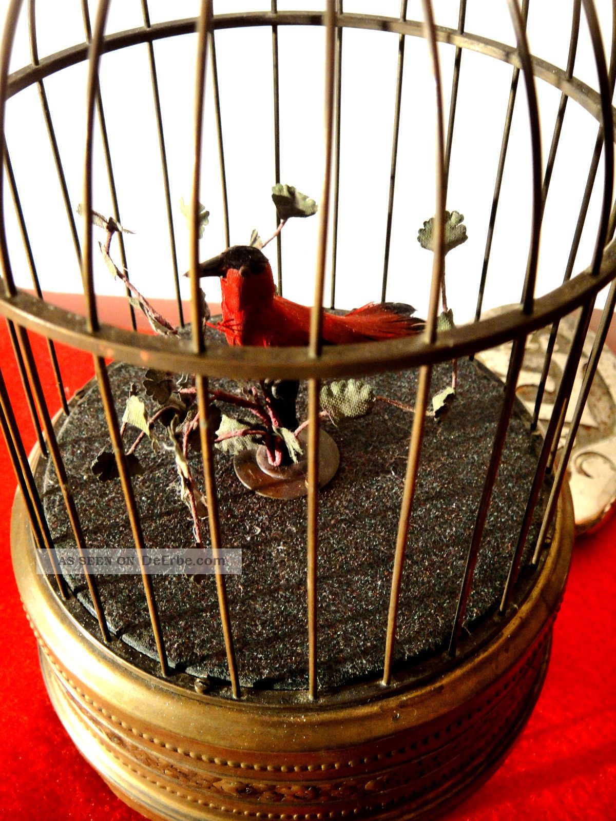 Edelstahl Futternapf Für Vögel - Hänge-Futterautomat Für Käfige