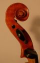 Old Fiddle Violin Alte Geige скрипка Markneukirchen Lab.  T.  H.  Heberlein 1899 Saiteninstrumente Bild 3