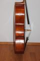 4/4 Schone Alte Cello Mit Zettel Giulio Degani Beatiful Old Cello Violoncello Saiteninstrumente Bild 9