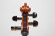 4/4 Schone Alte Cello Mit Zettel Giulio Degani Beatiful Old Cello Violoncello Saiteninstrumente Bild 2