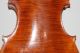 4/4 Schone Alte Cello Mit Zettel Giulio Degani Beatiful Old Cello Violoncello Saiteninstrumente Bild 6