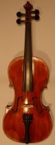 Alte 4/4 Violine / Geige Old Violin Labeled Eugenio Degani Venezia Saiteninstrumente Bild 1