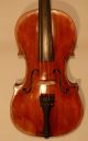 Alte 4/4 Violine / Geige Old Violin Labeled Eugenio Degani Venezia Saiteninstrumente Bild 2