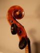 Alte 4/4 Violine / Geige Old Violin Labeled Eugenio Degani Venezia Saiteninstrumente Bild 3