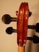 Alte 4/4 Violine / Geige Old Violin Labeled Eugenio Degani Venezia Saiteninstrumente Bild 4