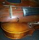 Geige / Violine Mit Bogen Und Kasten Usw.  Wohl 4/4 Größe Saiteninstrumente Bild 4