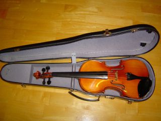 Alte Geige Mit Koffer Bild