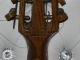 Alte Franz.  Mandoline A.  Di Mauro Old French Mandolin Saiteninstrumente Bild 7