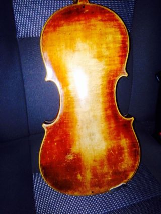 Geige Violine Museal Bild