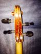 Geige Violine Museal Saiteninstrumente Bild 3