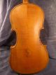 Schöne,  Alte Geige,  Um 1900 ? Saiteninstrumente Bild 4