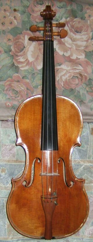 Schöne,  Alte Geige Ceruti Bild