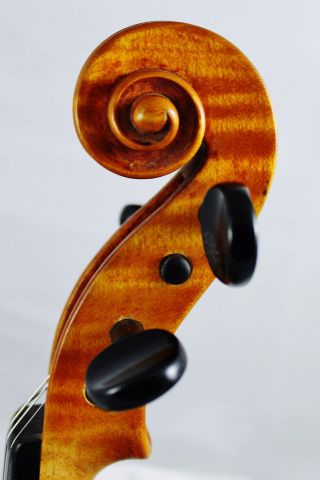 Feine Alte Italienische Violine Old Violin Violino,  Violon Nur 5 Tage Bild