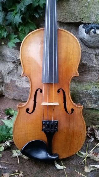 Feine Alte Sehr Schöne Violine Old Violin Nur 5 Tage Bild