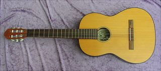 Alte Gitarre Hopf Von 1979 Bild