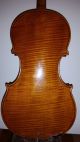4/4 Alte Geige Old Violin Rocca Enricco Violino Beatiful 3 Tage Saiteninstrumente Bild 9