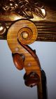 4/4 Alte Geige Old Violin Rocca Enricco Violino Beatiful 3 Tage Saiteninstrumente Bild 7