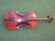 Stainer Vintage Geige 4/4 Alt Rarität Saiteninstrumente Bild 1